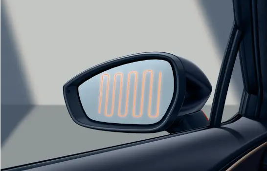 door-mirror-1-1